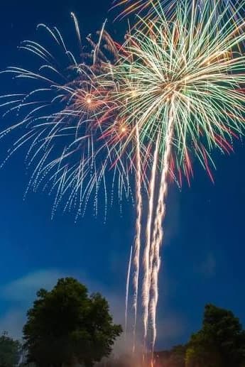 Colorful fireworks bursting in the night sky above silhouetted trees.