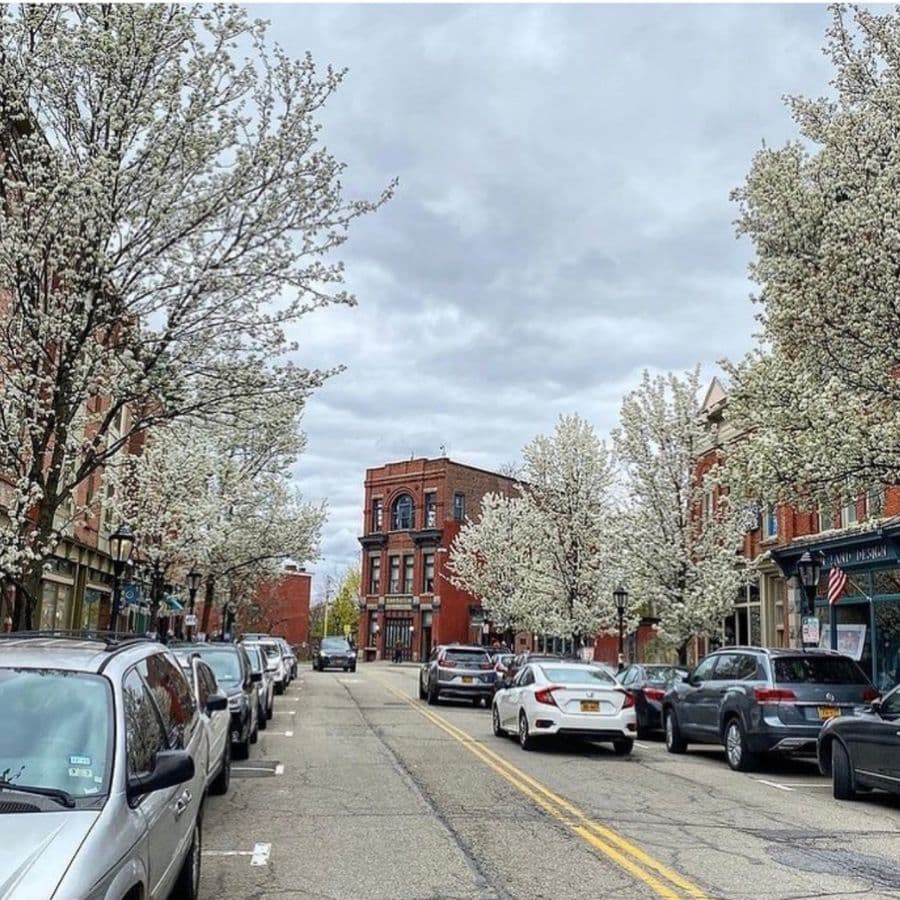 A picturesque street lined with flowering trees and parked cars under a cloudy sky.
