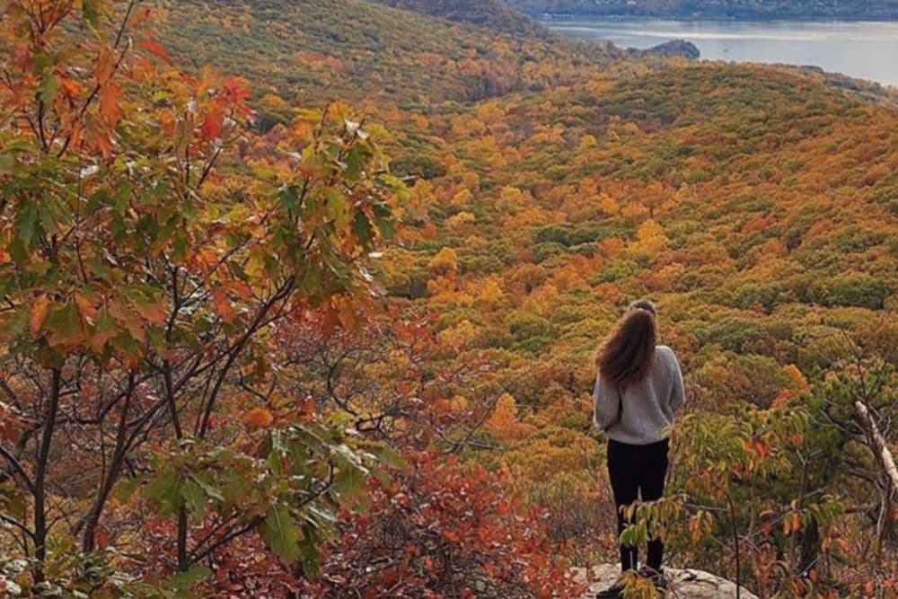 Person standing on a rocky ledge overlooking a vibrant, autumn-colored forest and a river.
